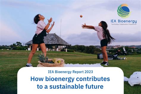 press release  bioenergy contributes   sustainable future bioenergy