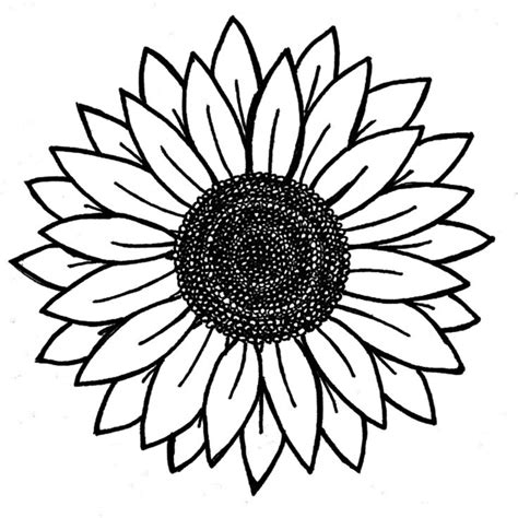 sunflower art print  notatthemoment  small sunflower art print
