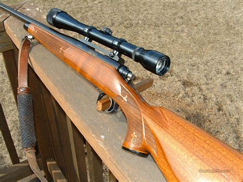 remington model  bdl varmint special    bolt action rifle  bankhomecom