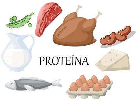 hablemos sobre las proteinas