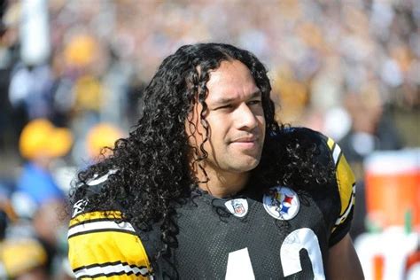 steelers star troy polamalu  hair insured   million timecom troy polamalu