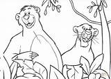 Baloo Balu Bagheera Baghira Dschungelbuch Affen Disegni Mowgli Colorare Ausmalbild Beobachten Selva Supercoloring Malvorlagen Kostenlos перейти Baguera sketch template