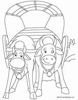 Cart Bullock Coloring Pages Kids Riding Horseback Popular sketch template