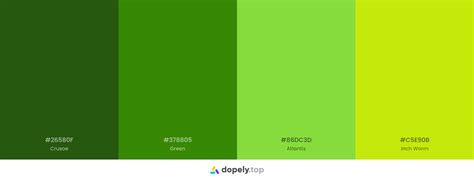 green color palette  hex codes