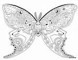 Coloring Moth Pages Sue Coccia Luna Printable Butterfly Adult Adults Google Mandala Pattern Malen Getcolorings источник Color Colouring Gemerkt Von sketch template