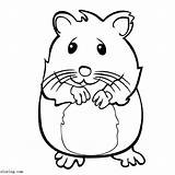 Hamster Seed sketch template