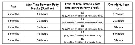 printable puppy potty training schedule chart pictures