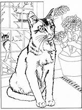 Kleurplaat Poezen Katten Poes Stemmen sketch template