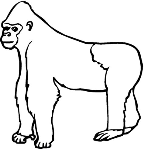 gorilla coloring page animals town animal color sheets gorilla picture