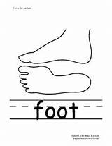 Foot Worksheet Kindergarten Phonics Printing Practice sketch template
