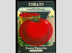 Reserved for Sharon Antique Seed Packet Red Tomato by veraviola