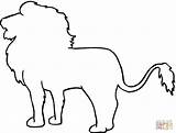 Lion Outline Animal Supercoloring Animals Coloring Drawings Silhouette Simple Cute Easy African Draw Mammals Sketches Looking Pages sketch template