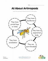 Arthropods Worksheet sketch template