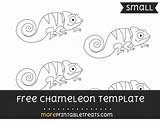 Template Chameleon Drawing Small Carle Eric Chameleons Templates Paintingvalley Sponsored Links sketch template