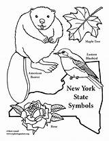York State Coloring Symbols Pages Kids Nys Fun Exploringnature Activities Room Source Getdrawings sketch template