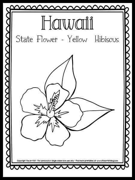 hawaii state flower coloring page hibiscus  printable