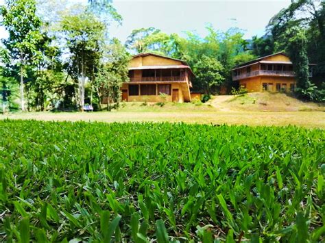 forest chalets  sinharaja  acres   gin ganga eco retreat  sale buy rent