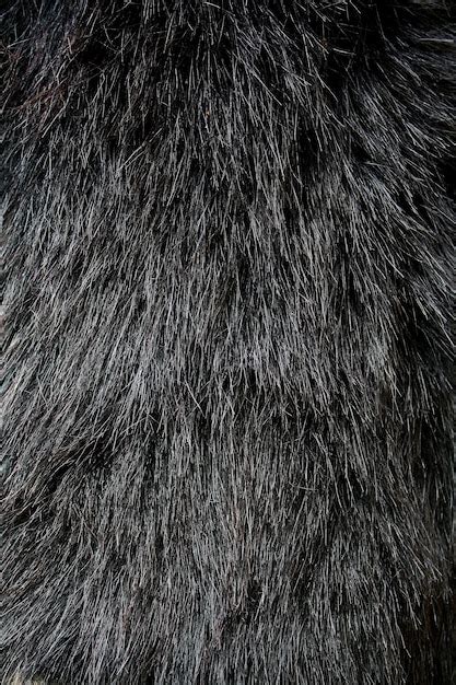 premium photo black fur texture background