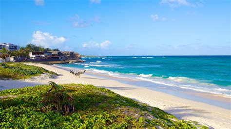 Silver Sands Beach In Barbados Expedia