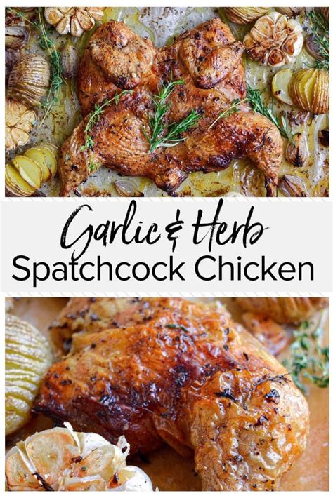 spatchcock chicken recipe with garlic and herbs video recipe