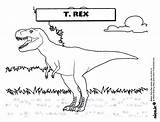 Dinosaurios Tiranosaurio K5worksheets Salvavidas Coloreando K5 sketch template