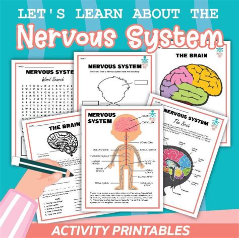 nervous system activity printable etsy espana