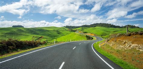 zealand winding road  green hills find  photography