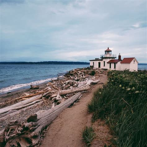 discover seattle washingtons discovery park runnerclick