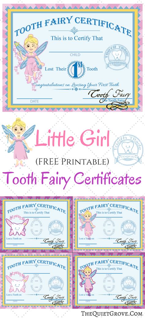 printable tooth fairy certificates tooth fairy certificate