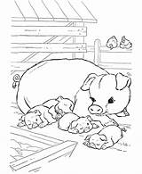Coloring Farm Pages Pigs Animals Animal Pig Kids Color Piggy Piglets Print Sheet Printable Activities Crafts Diy Napping Cute Diycraftsfood sketch template