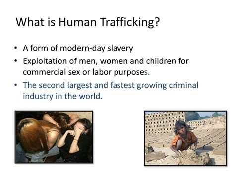 Ppt Human Trafficking Modern Day Slavery Powerpoint Presentation