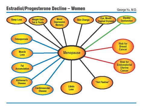 Menopause And Sex Hormones Yu Foundation