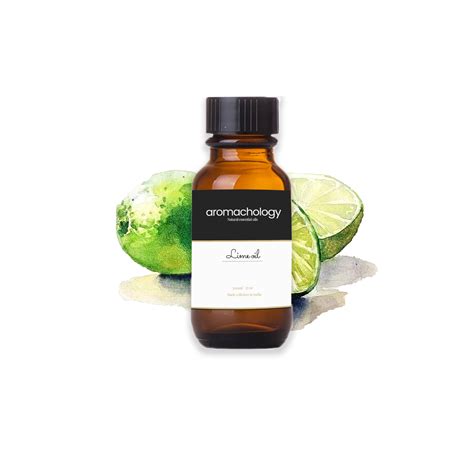 lime essential oil essential oil wholesaler