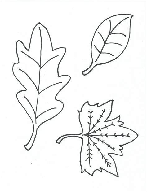 printable coloring pages  samples  stuff