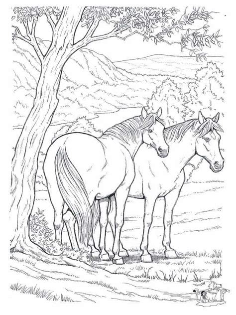 cool horse coloring pages printable   horse coloring pages