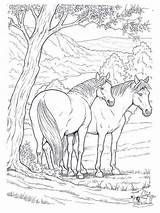 Pferde Wilde Malvorlagen sketch template