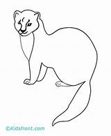 Marten Coloring Pages Martin Pine Kids Designlooter Printable Drawings 04kb 440px Search sketch template