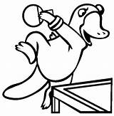 Platypus Coloring Pages Pong Ping Color Thecolor Animal Animals sketch template
