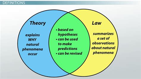 hypothesis theory law  science video lesson transcript studycom