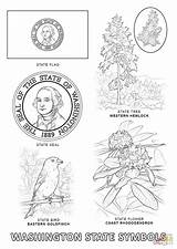 Coloring State Washington Symbols Alabama Pages Bird Tree Clipart Mississippi Popular Coloringhome Library sketch template
