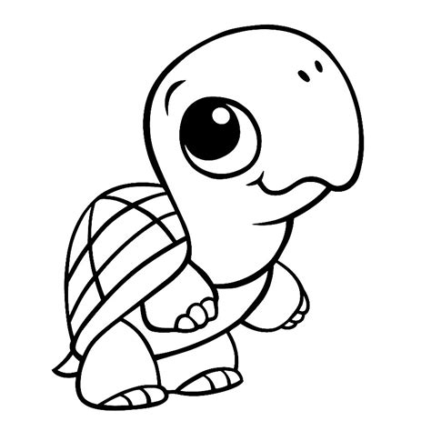cute cartoon turtle pages coloring pages