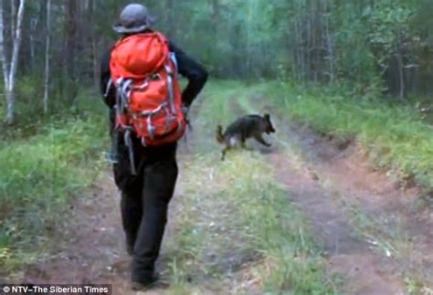 russian gir survives 11 days lost in siberian wolf and bear infested wilderness daily mail online