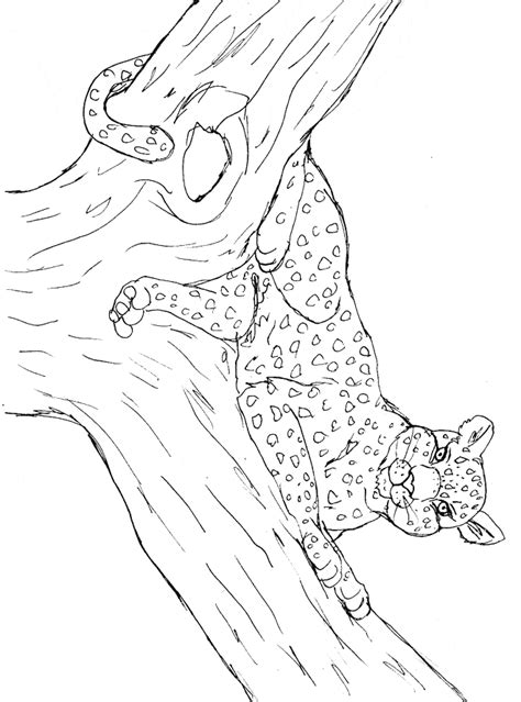 leopard coloring page animals town animal color sheets leopard picture