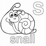 Englisch Lernen Snail Schule Malvorlage Quellbild Besuchen Beste Malvorlagen sketch template