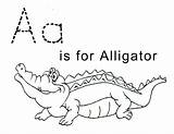 Alligator Coloring Pages Kids Letter Crocodile Printable Print Preschool Tracing Sheets Trace Color Sheet Alligators Lawteedah Baby Activity Cute Printables sketch template