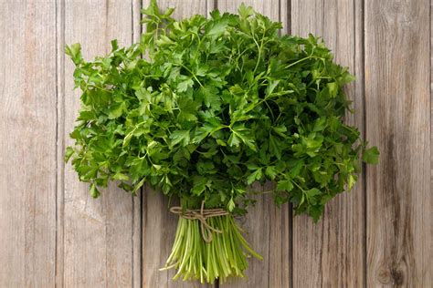 grow parsley indoors    homes  gardens
