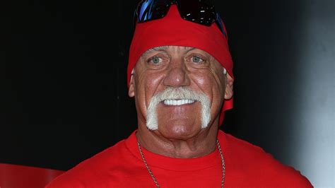 Wwe Fires Wrestler Hulk Hogan After Wrestler S Racially Insensitive