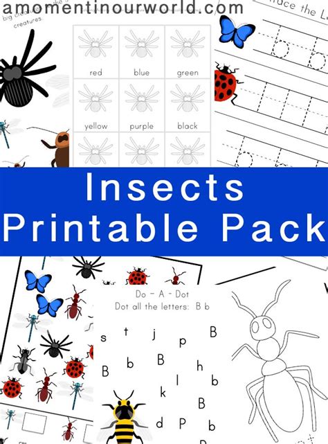 insect printables pack