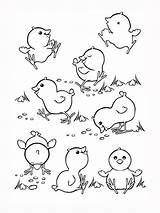 Coloring Pages Chickens Chicken Comments Chicks sketch template