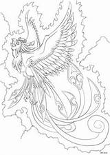 Phoenix Coloring Pages Bird Colouring Disegni Da Fenice Colorare Adult Drawing Deviantart Drawings Dark Book Mandala Kids Fawkes Sheets Tattoo sketch template
